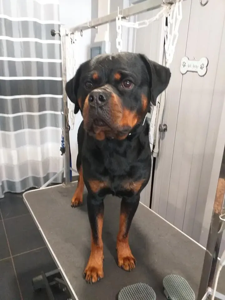 nos realisations (10)