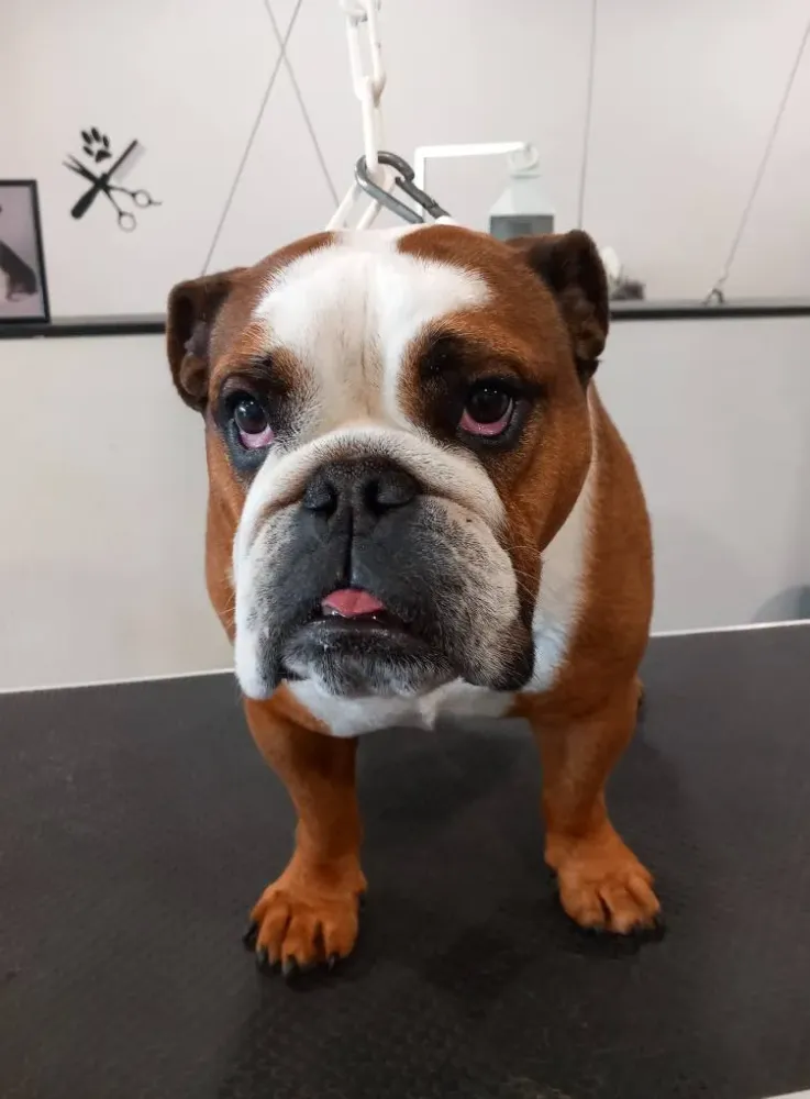 nos realisations (2)